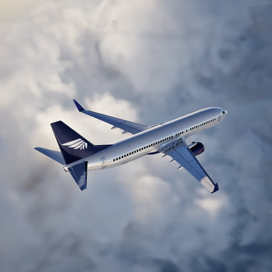Commercial Pilot